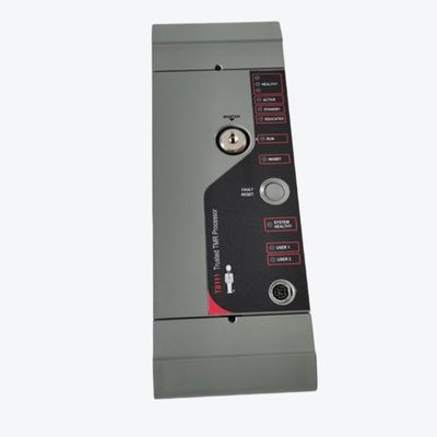 ICS 트리플렉스 T8111C 신뢰받는 프로세서, 등각 코팅된 모듈