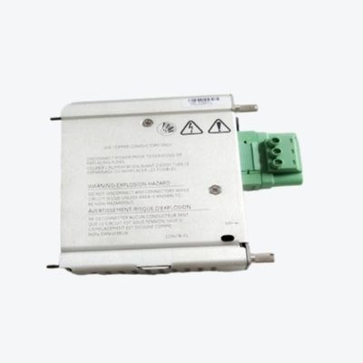 벤틀리 네바다 3500/62-04-00 디스플레이 처리 변수 감시 모듈