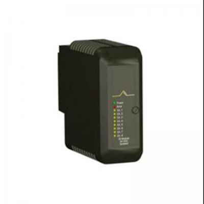 VE4003S2B1 에머슨 예비 부품 DeltaV 표준 I/O 종료 블록 모듈