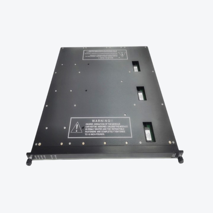 TRICONEX 9763-810 입력 전압 장기판